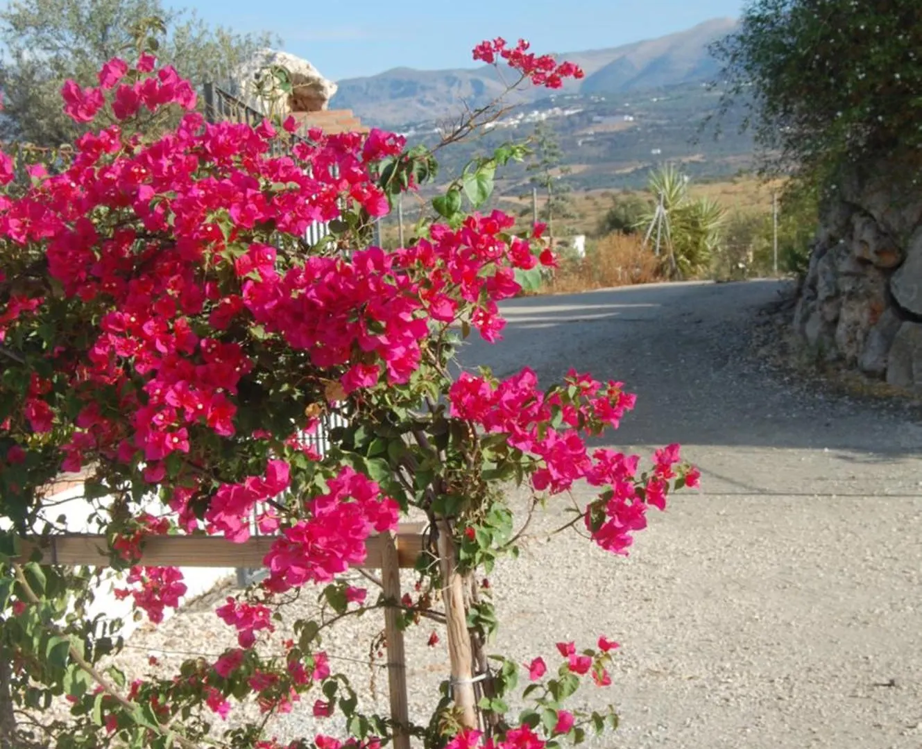 Casa Herrera'S Quiet Lake Escape Malaga Spain